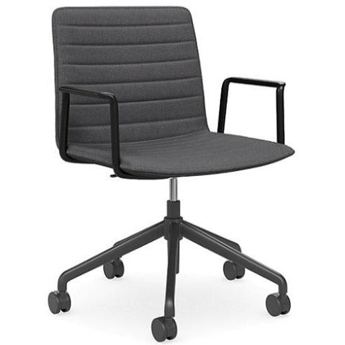 Kola castors in charcoal